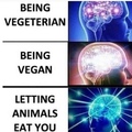 the title is vegan