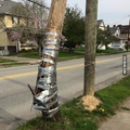 The power of duct tape compels you