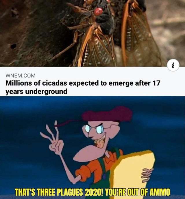 Millions of cicadas expected to emerge after 17 underground - meme