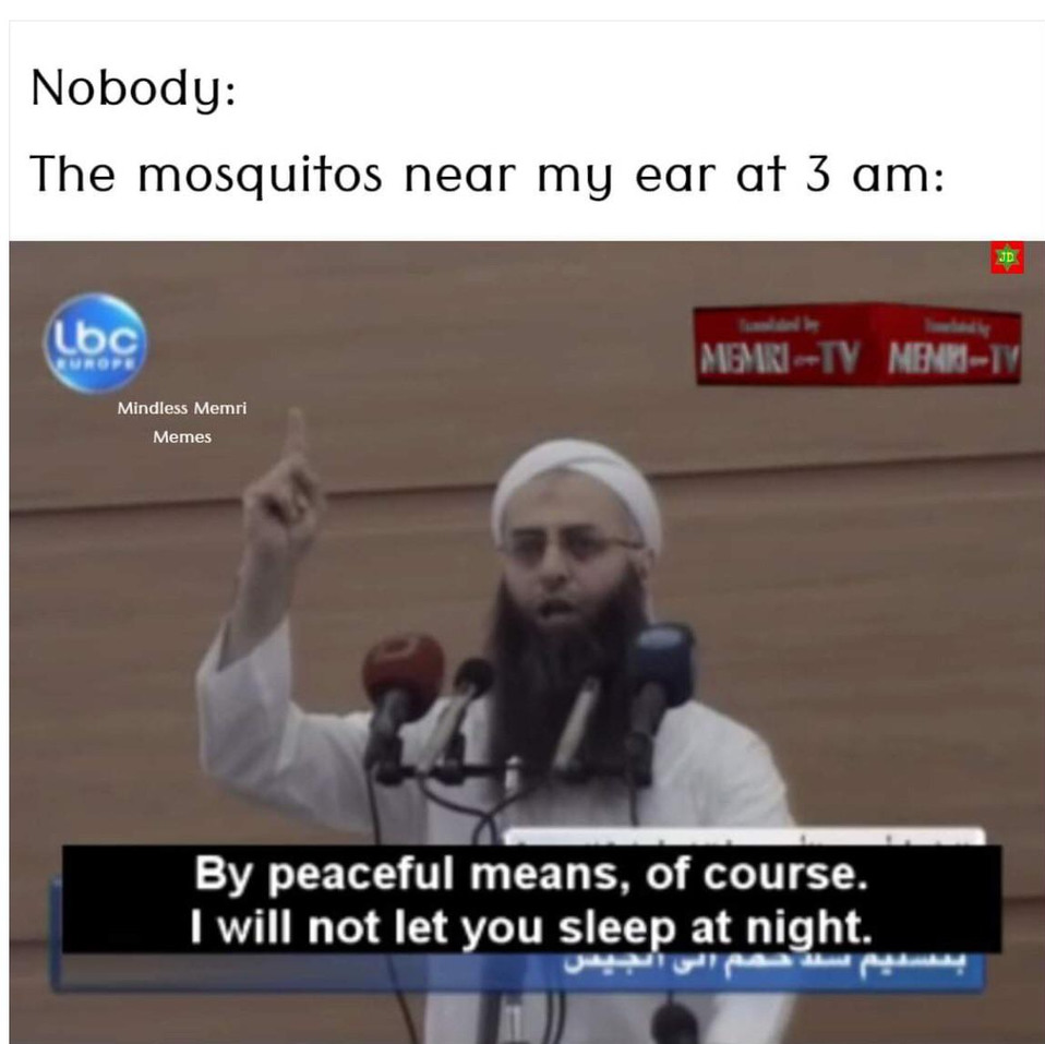 Mosquito Jihad - meme