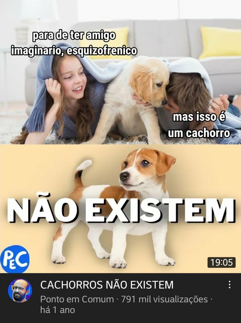 Fino Senhores em cachorrês 