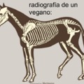 esqueleto vegano chabales