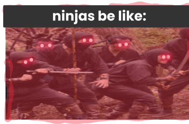ninjas...wow! - meme