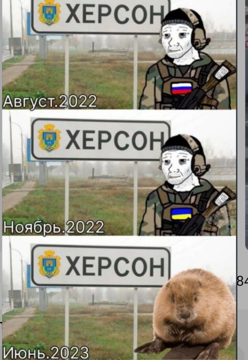 Castores invaden Ucrania - meme