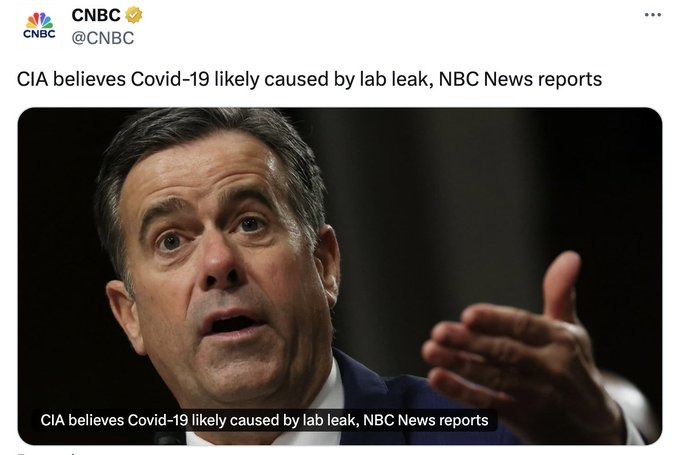 remember when the lab leak theory was considered "misinformation" that could get you banned on social media - meme