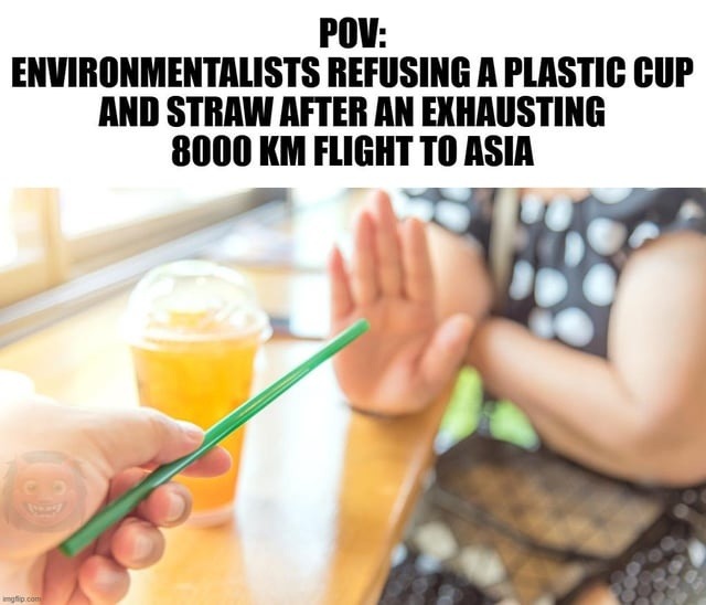 Flew 8000km to Asia but won’t take a straw - meme