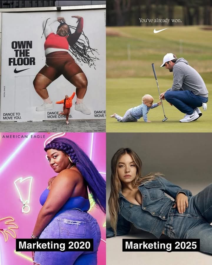 En resumen, a nadie le importa la inclusión social, sino el fin del producto que se vea bien y conforme al sector del consumidor . - meme