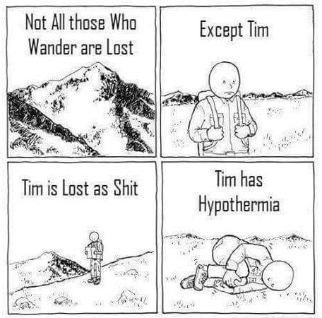 RIP Tim - meme