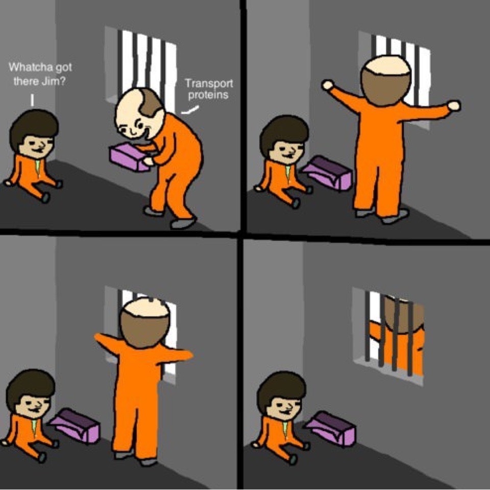 dongs in a jail - Meme by batche :) Memedroid