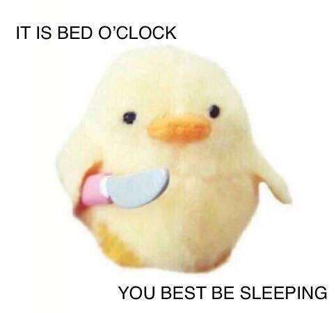 Yall better get some good sleep and stay healthy - meme