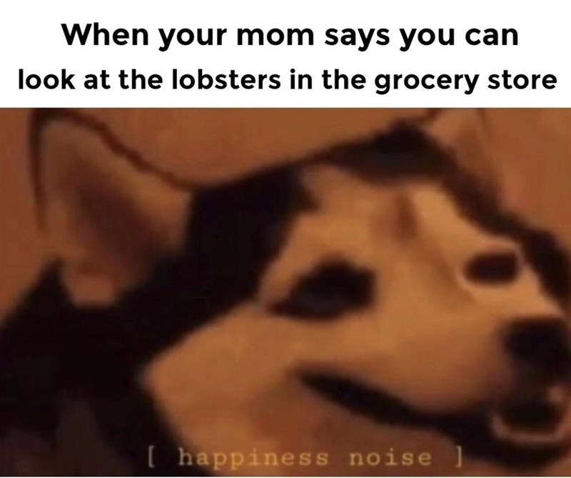 lobsters be lit - meme