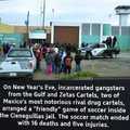 A cartel football game without at least three deaths is considered a dull affair