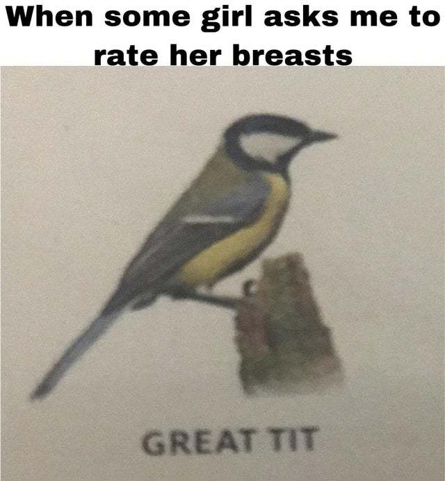 When some girl asks me to rate her breasts - meme