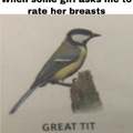 When some girl asks me to rate her breasts