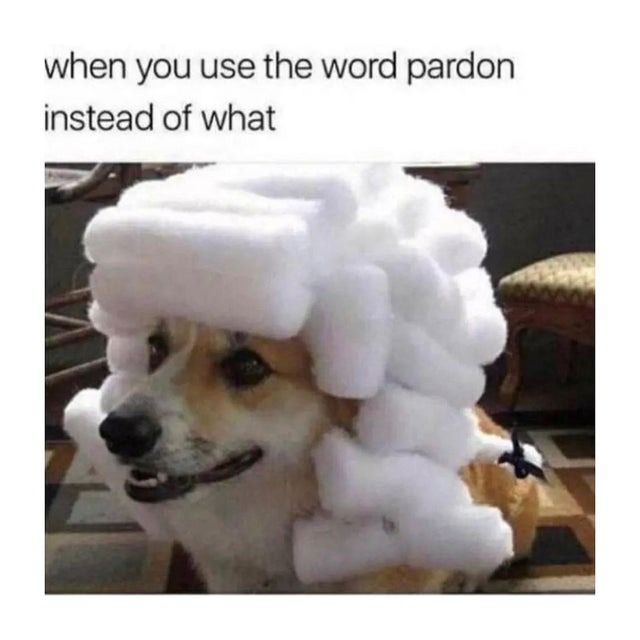 when you use the word pardon instead of what - meme