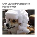 when you use the word pardon instead of what