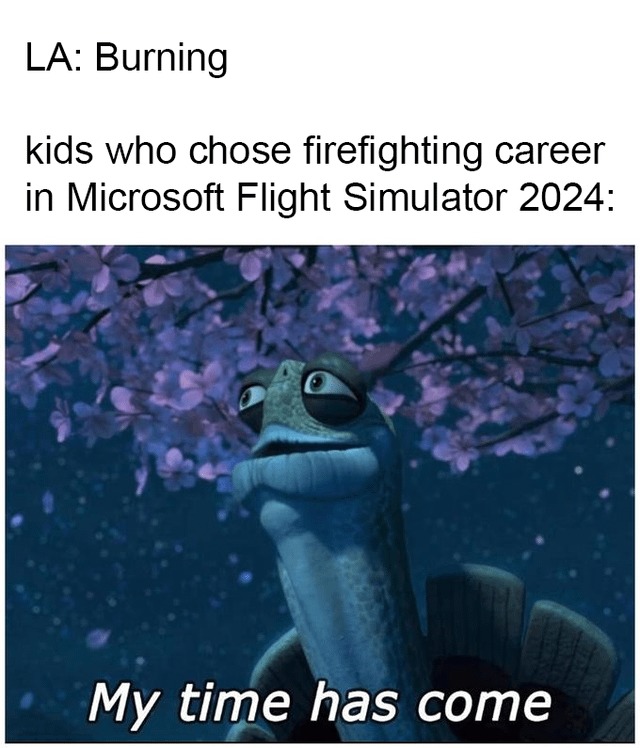 kids who chose firefighting career in Microsoft Flight Simulator 2024 - meme