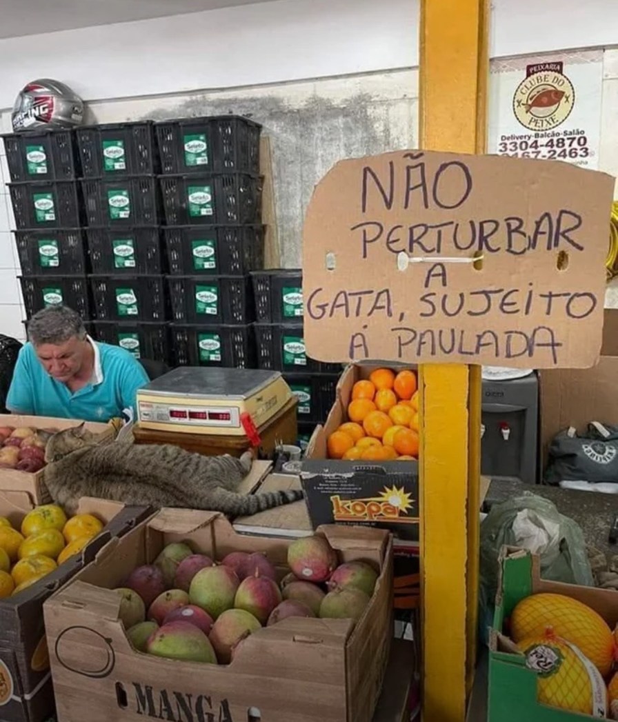 Sujeito a paulada - meme