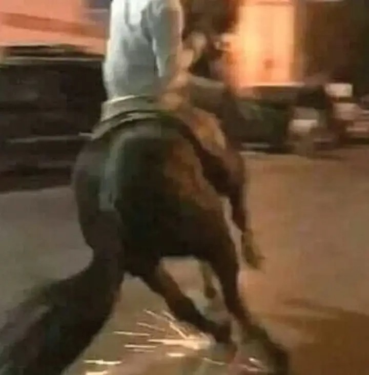 Caballo Drifting - meme