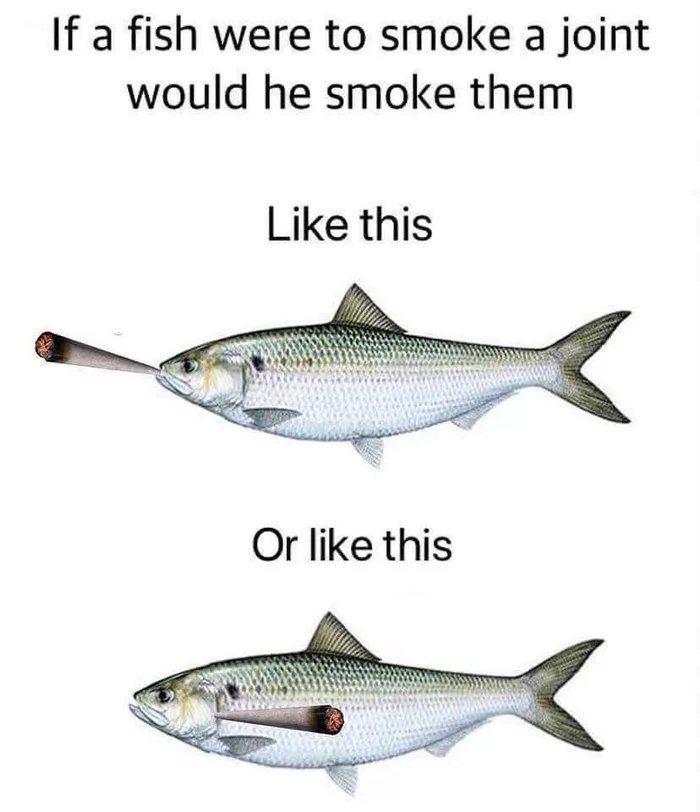 Smoking fish - meme