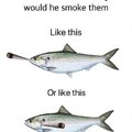 Smoking fish