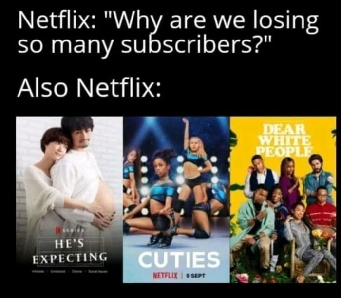 Netflix be like - meme