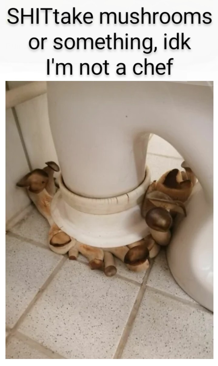 Yum yum toilet food - meme