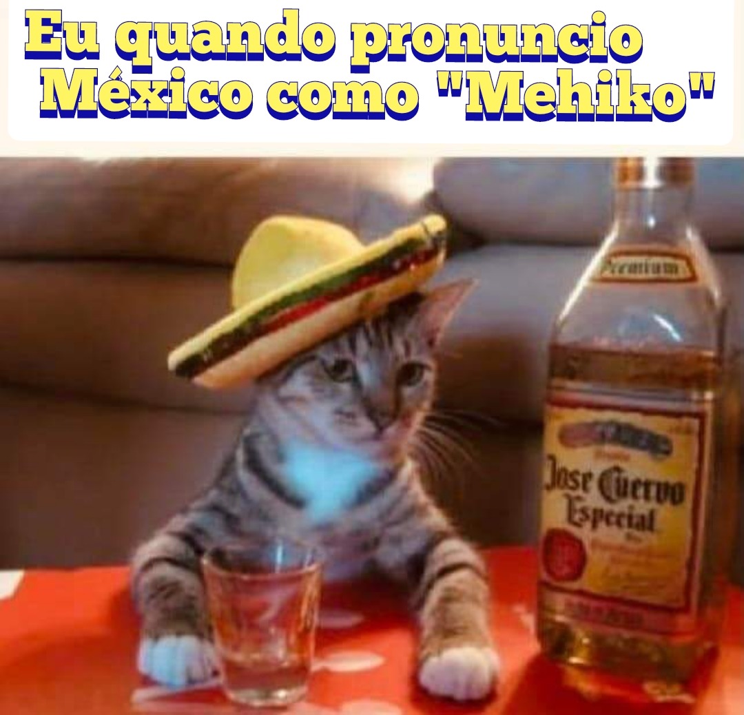 Gatito mehikano - meme