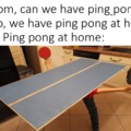 Ping pong going wild