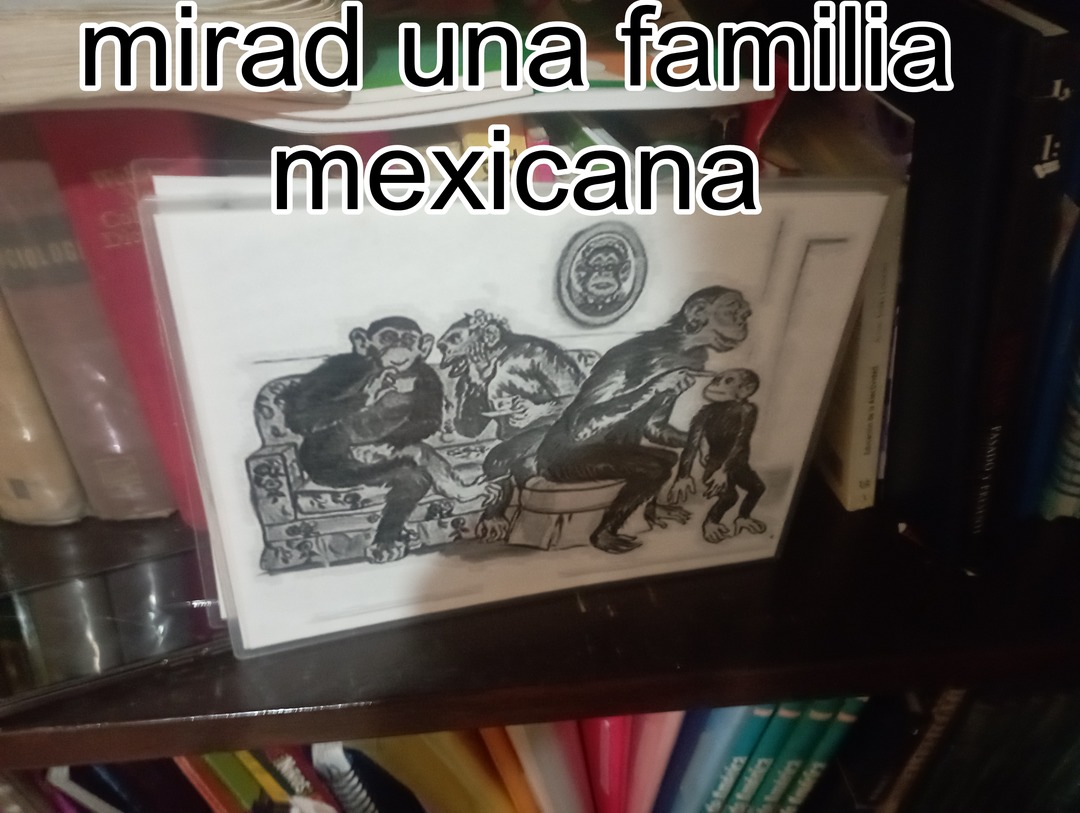 Famila de México - meme