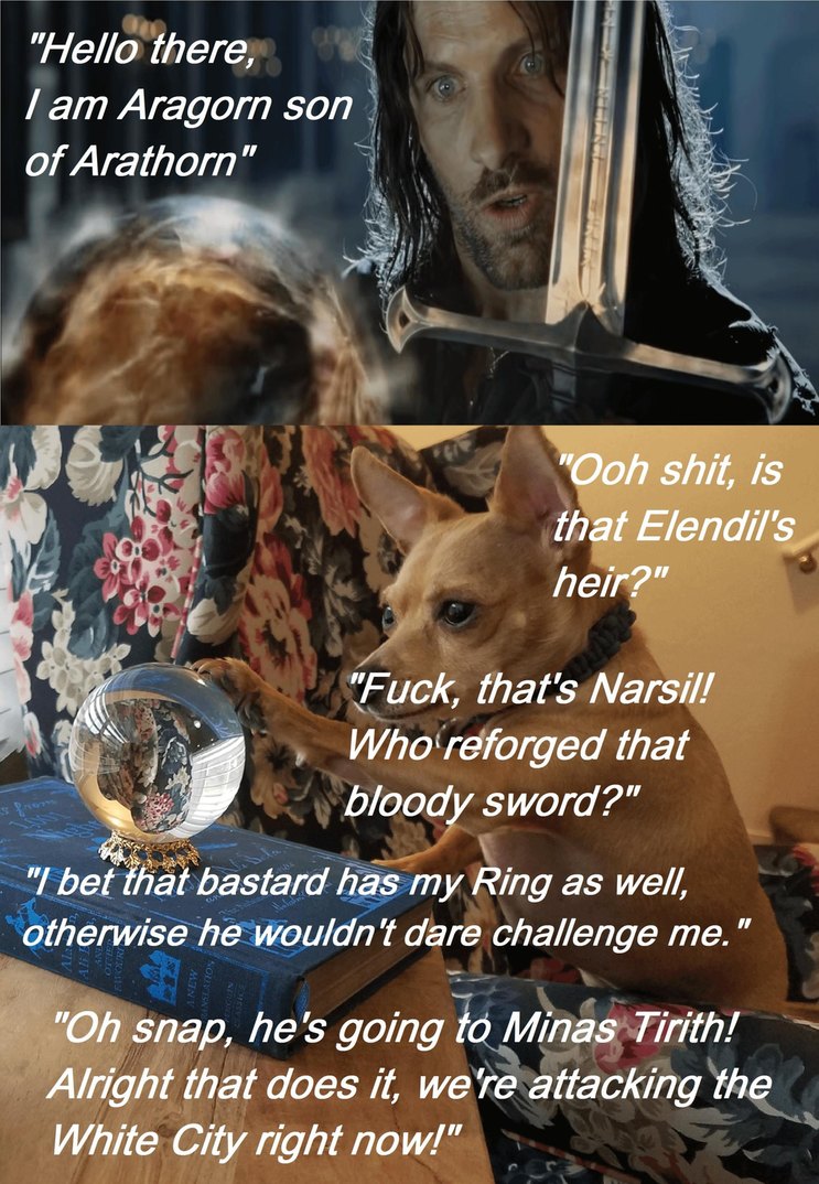 When Aragorn pulls up and everyone's PTSD activates - meme