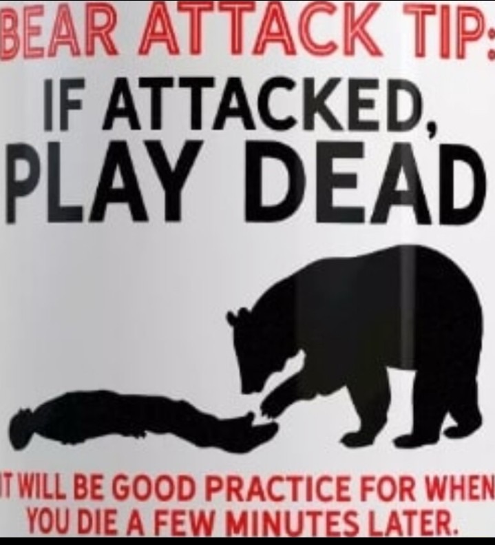﻿BEAR ATTACK TIP IF ATTACKED 9 PLAY DEAD TWILL BE GOOD PRACTICE FOR WHEN YOUDIEA FEW MINUTES LATER