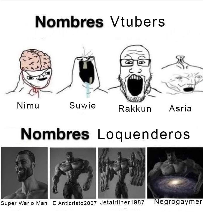Vtubers vs nombres loquenderos del 2007 quién gana - meme