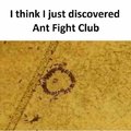 Ant fight club