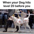 I’m only level 3
