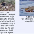 dongs in a deer