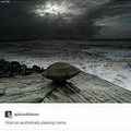 The clam before the storm
