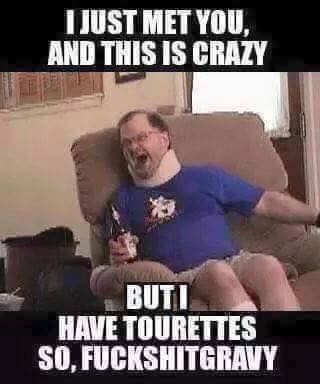 dongs in a tourette - meme
