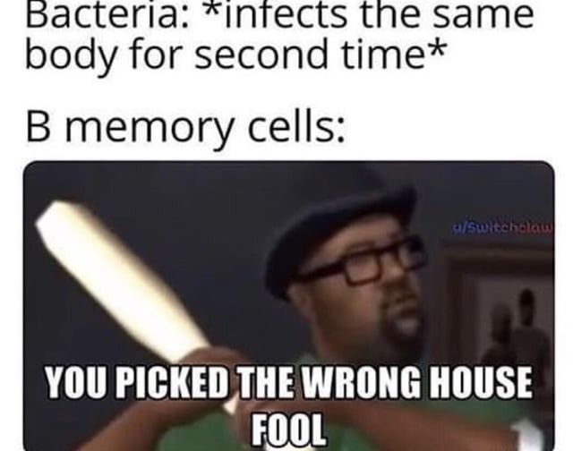 B memory cells are great - meme