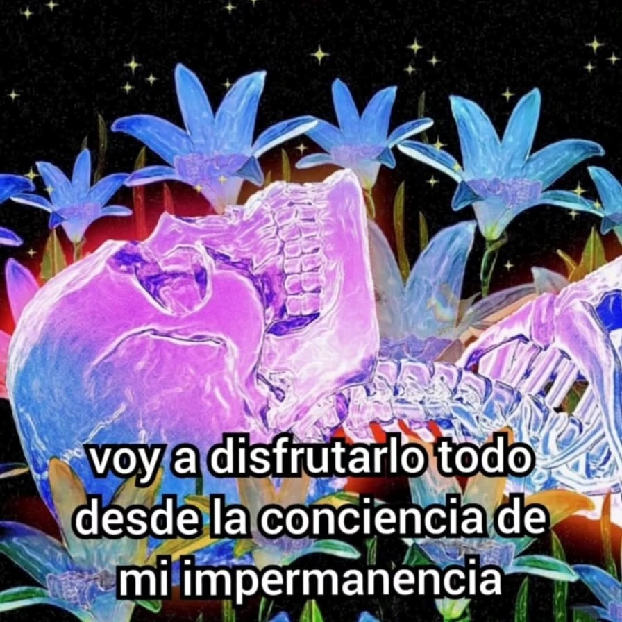voy a disfrutar todo desde la conciencia de mi impermanencia - meme