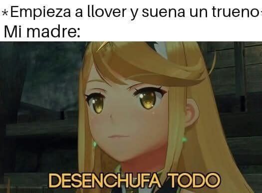 Un trueno y mi madre desenchufando todo como ritual - meme