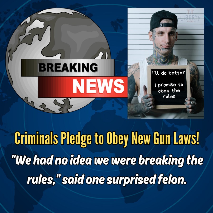 2nd Amendment - meme