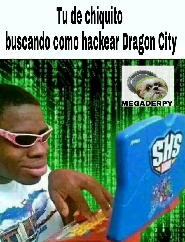 Dragon City - meme