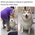 Grandma makes sure everyone is fed <3