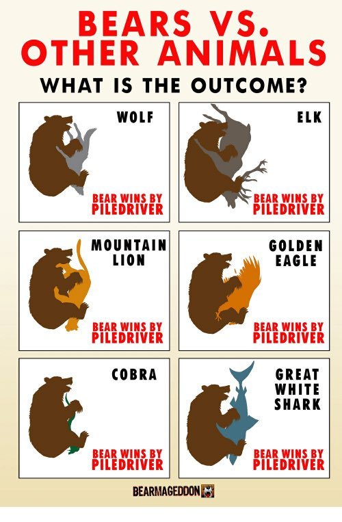 Bears vs everything - meme