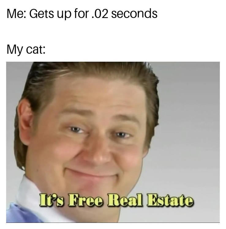 Cats suck - meme