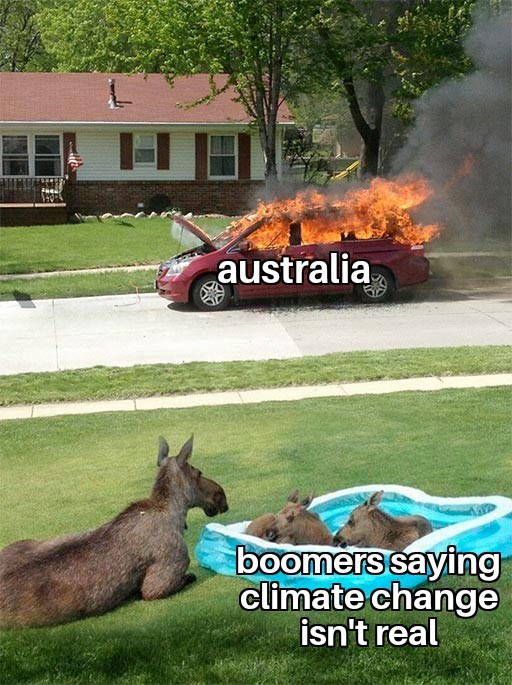 the future is now boomers - meme