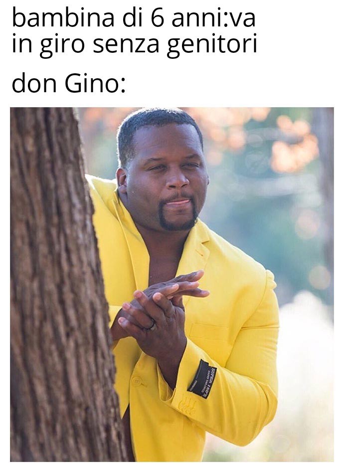 Don Gino Is coming - meme