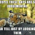Tony the tiger says people are not that great.