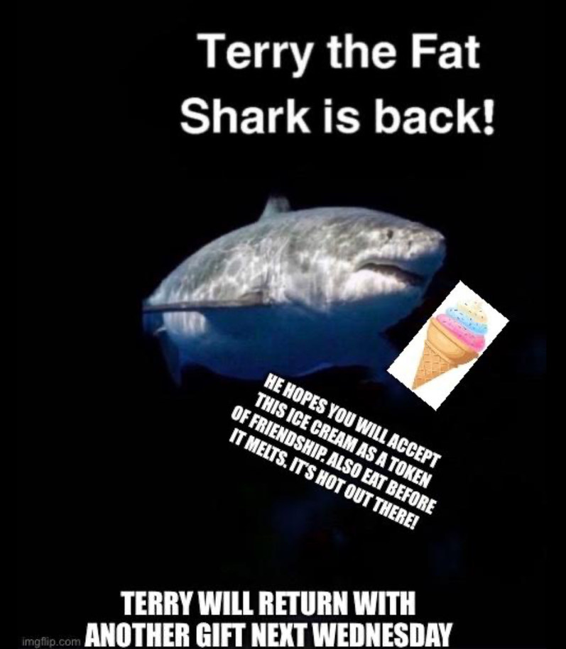 Terry - meme